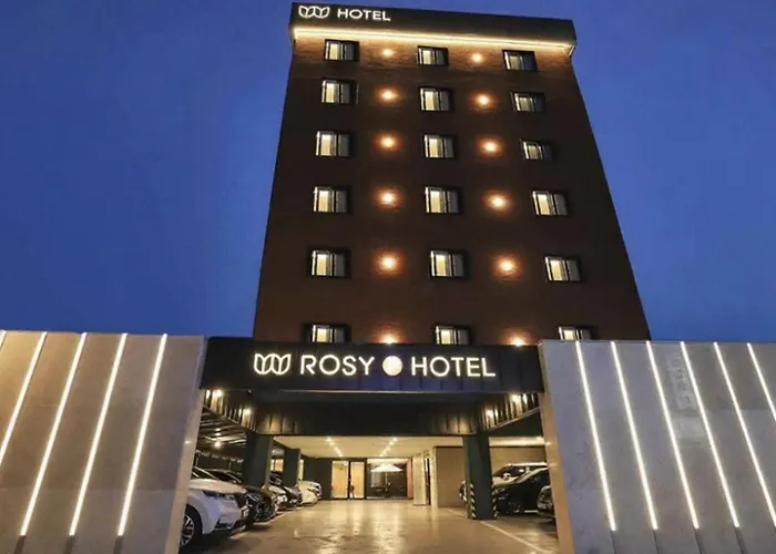 Cheonan Asan Rosy Hotel